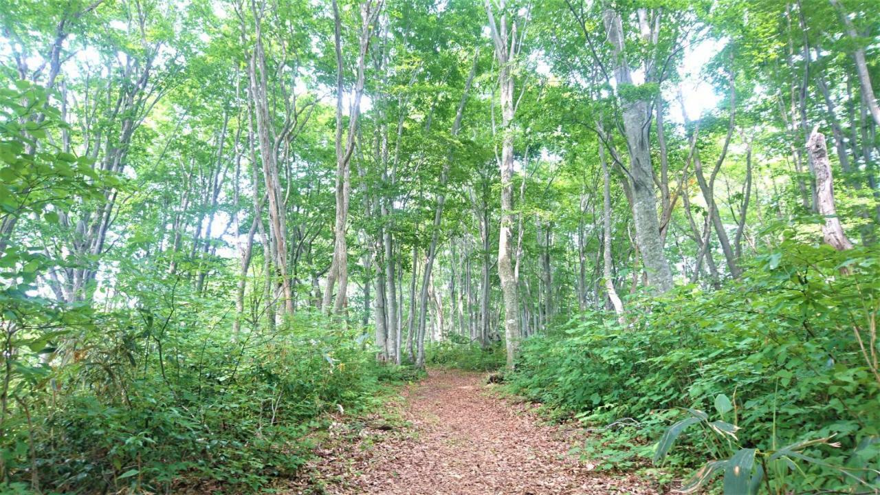 Blueberry Pension Madarao Iiyama Ngoại thất bức ảnh